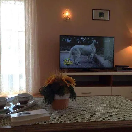 Apartmán In Novigrad - Istrien 45767